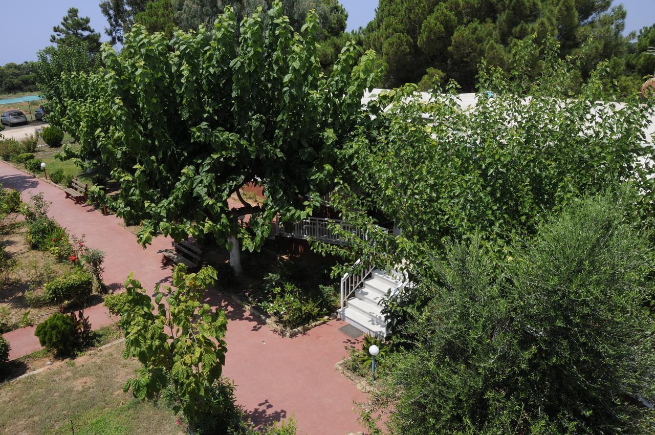 Apartments Hotel Alexandros อาร์คูดี ภายนอก รูปภาพ